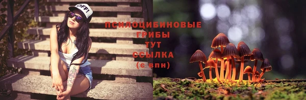гидра Алексин