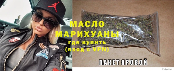 тгк Пересвет